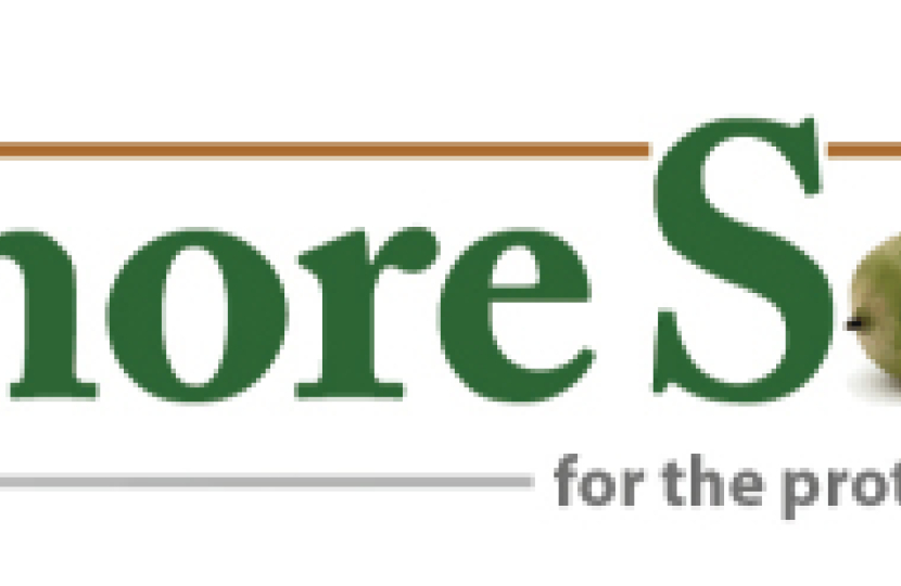 Stanmore Society Logo